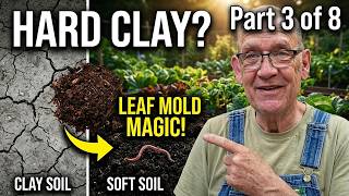 Got Clay Soil? Discover the Power of Leaf Mold