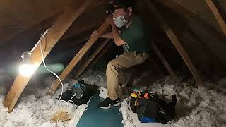 20240802_18WoodlandAve_RepairAttic_02
