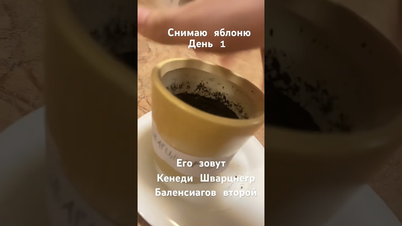 Может даже будет актив 
