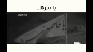 يا قبرها .. يا سرها.. الرادود حسين خير الدين ⁦❤️⁩