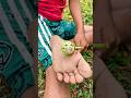 Survival Skills: SMART idea and USEFUL with single mom #survival #camping #useful #forest #shorts