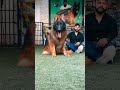 ٢٦ أبريل ٢٠٢٣