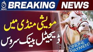 Cattle Market QR Payments | Cashless Pakistan Campaign | National Bank Digital Banking - Aaj News