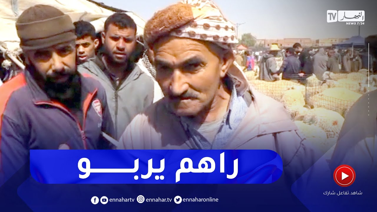 الجلفة.. شاهد ما قاله مواطن عندما أراد شراء كبش و لم يجد.. 
