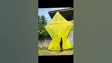 Big Kite In Sri Lanka 2022 