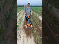 This machine will remove all the weeds from your field in ₹25 power tiller Battery PowerTiller #shor