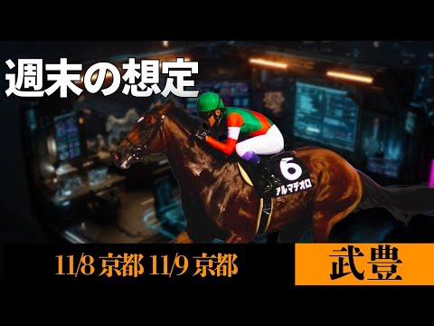 【武豊】週末の想定 アルマデオロ自己条件で再起動！メイショウタムシバ、フェアリーライクなど勝てそうなラインナップが揃う【11/8京都 11/9京都】