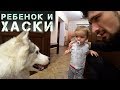 Капелла и малыш Данька. Реакция ребенка на собаку