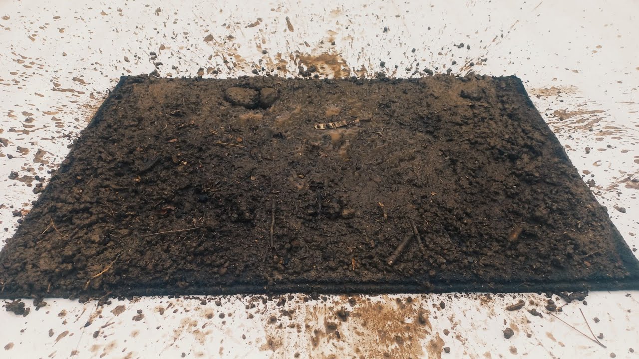 cleaning the terrible mud from the fur carpet - carpet cleaning