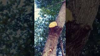 20170209 091803 2