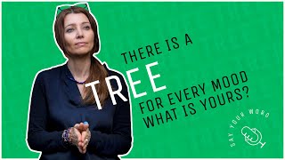 There Is A For Every Mood What Is Yours? By Elif Shafak