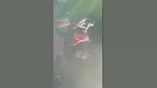 RASKOPLO AND UUT SELLY - UDAN KENANGAN (LIVE AT SEGOROYOSO, BANTUL )!!! #DINANERASKOPLO