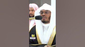 وضرب لنا مثلا ونسي خلقه قال من يحيي العظام وهي رميم// سورة يس الشيخ ياسر الدوسري