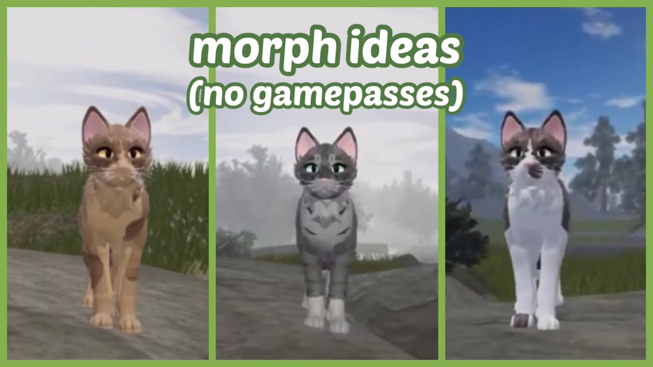 Roblox Warrior Cats Ultimate Edition: Morph Ideas (No Gamepasses) - Youtube Roblox Warrior Cats Ultimate Edition: Morph Ideas (No Gamepasses) - Youtube