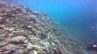 Dynamite Fishing Blast Underwater