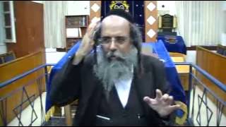 עיקר התהוות הכלים על ידי אור ושבירה חלק 1, משיבת נפש כט - הרב אהרון ישכיל