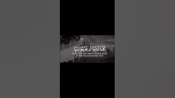 افمن كان مؤمنا كمن كان فاسقا لا يستوون |ياسر الدوسري-سورة السجدة