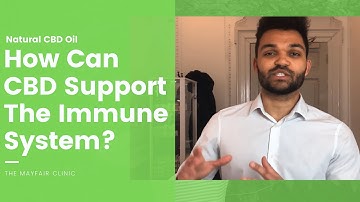 How Can CBD Oil Support The Immune System?