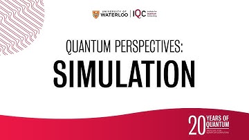 Quantum Perspectives: Simulation