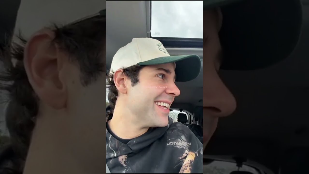 David Dobrik's Stealing from the Dollar Tree Store