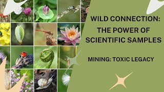 Mining: Toxic Legacy