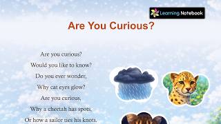 Are you curious
