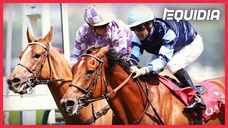 Vidéo de la course PMU QATAR GRAND HANDICAP DE NORMANDIE