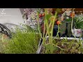 #عام #جديد #و #سعيد_جميل #youtube #تريند #اليوتيوب #اليوتيوب #اكسبلور #exblore 🥰🌿🌱