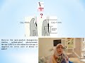 Extent of clinical attachment loss as a parameter in photodynamic therapy in periodontitis