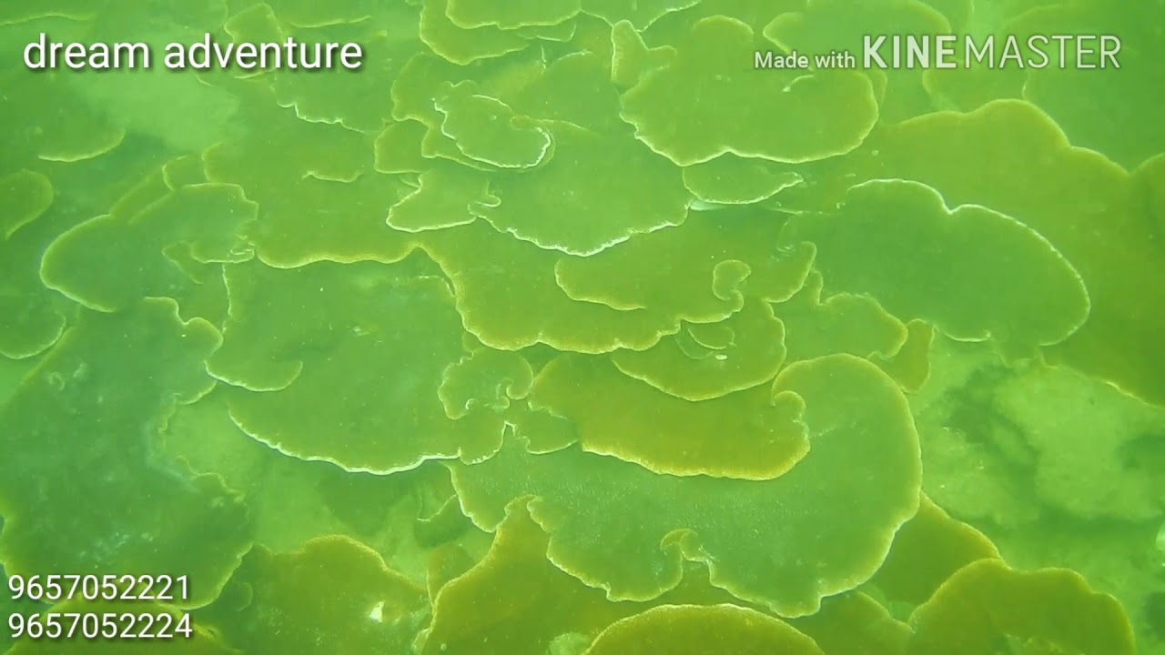 scuba diving at grande island