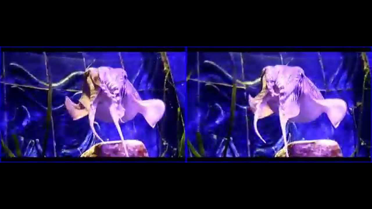 seepia side by side 1160x720