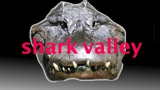 Celebrity Shark Valley, Everglades National Park Florida. Net Worth