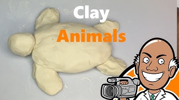 How to Make Clay Animals | Easy Clay Sculpting #2 Turtle