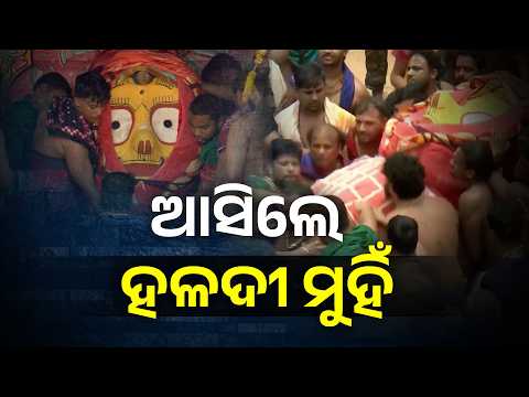 ଆସିଲେ ହଳଦୀ ମୁହିଁ #knewsodisha