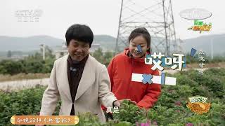 《田园帮帮团》 20250520 高手来了·玫瑰情缘 | 农业致富经 Agriculture And Farming