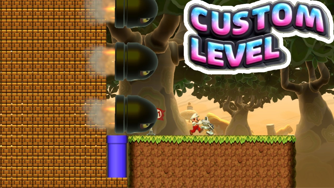 Custom Level Super Mario Maker 2 Custom Level