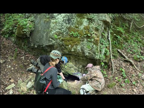 Man Dug Out Hole And Found Huge Cave Full Of Crystal Formations And Pink Salamanders