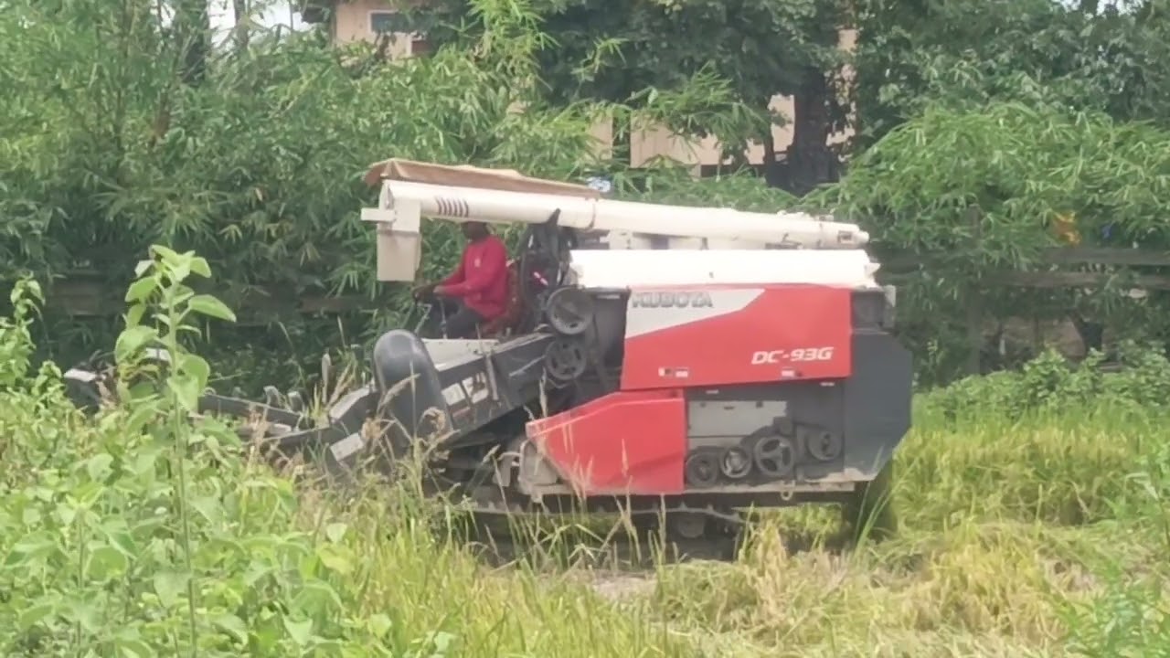 Amazing Rice Harvesting Machine in Action | Modern Farming Technology