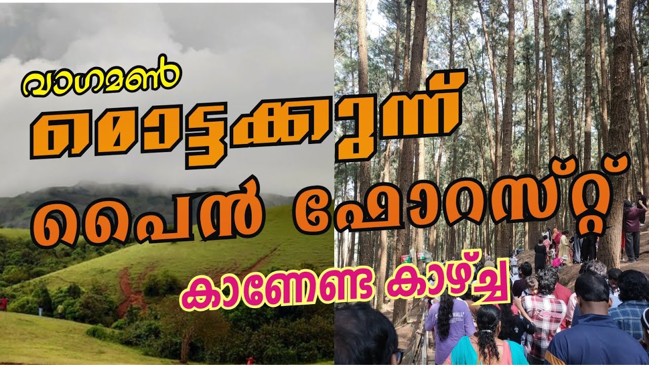 Вагамон: Моттаккуннум и сосновый лес. Более подробная информация о них приведена ниже: