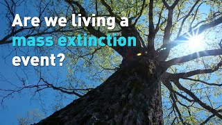 Are we living a mass extinction event?
