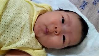 寶寶日常1090922諺樂嬰兒寶寶(2)