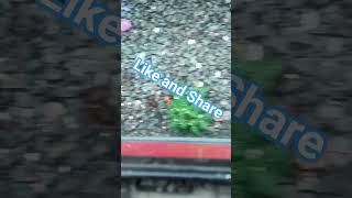 Running on the Track 💪#trendingshorts #motivation #new #viralvideo #sscgd #trending #train #shorts
