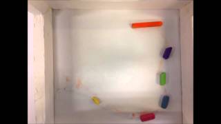 Found Object Animation