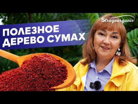 В чем польза дерева Сумах? / Ученицы Strogoorganic