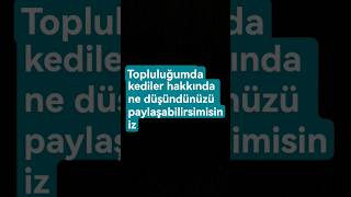 #spotify #music #music #song #rap #song #rap #keşfetbeniöneçıkar #lyrics #lyrics #tutorial