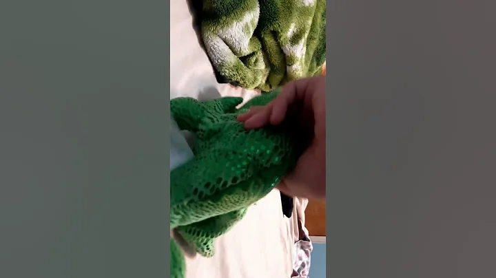 me and my lizard