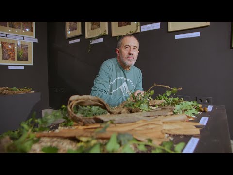 'Corteza. La piel de los árboles' de Samuel Núñez  promueve el cuidado del medio natural