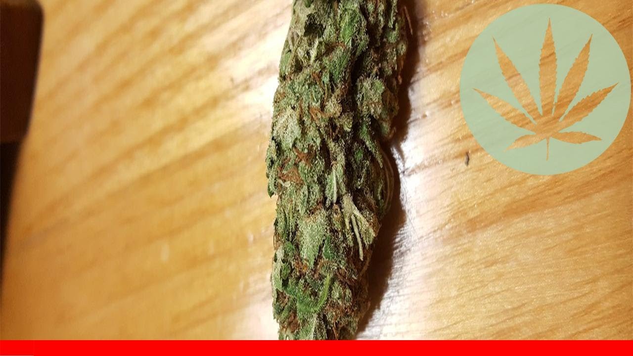 Cherry Bomb - All About This Strain