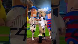 Andrea Williams has some fun with the Racing Sausages