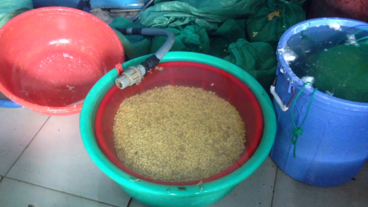 Тофу | Как делают сыр тофу | Вьетнам - YouTube